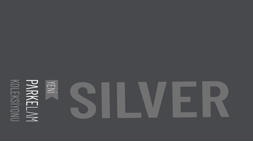 Silver Seri 8mm